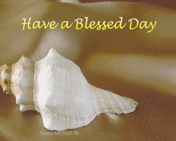 dayBLESSEDshell.gif image by bbardo123
