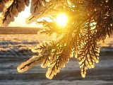 WINTERSUNRISE.jpg image by bbardo123