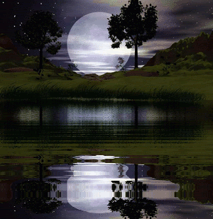 moonlightreflection.gif image by bbardo123